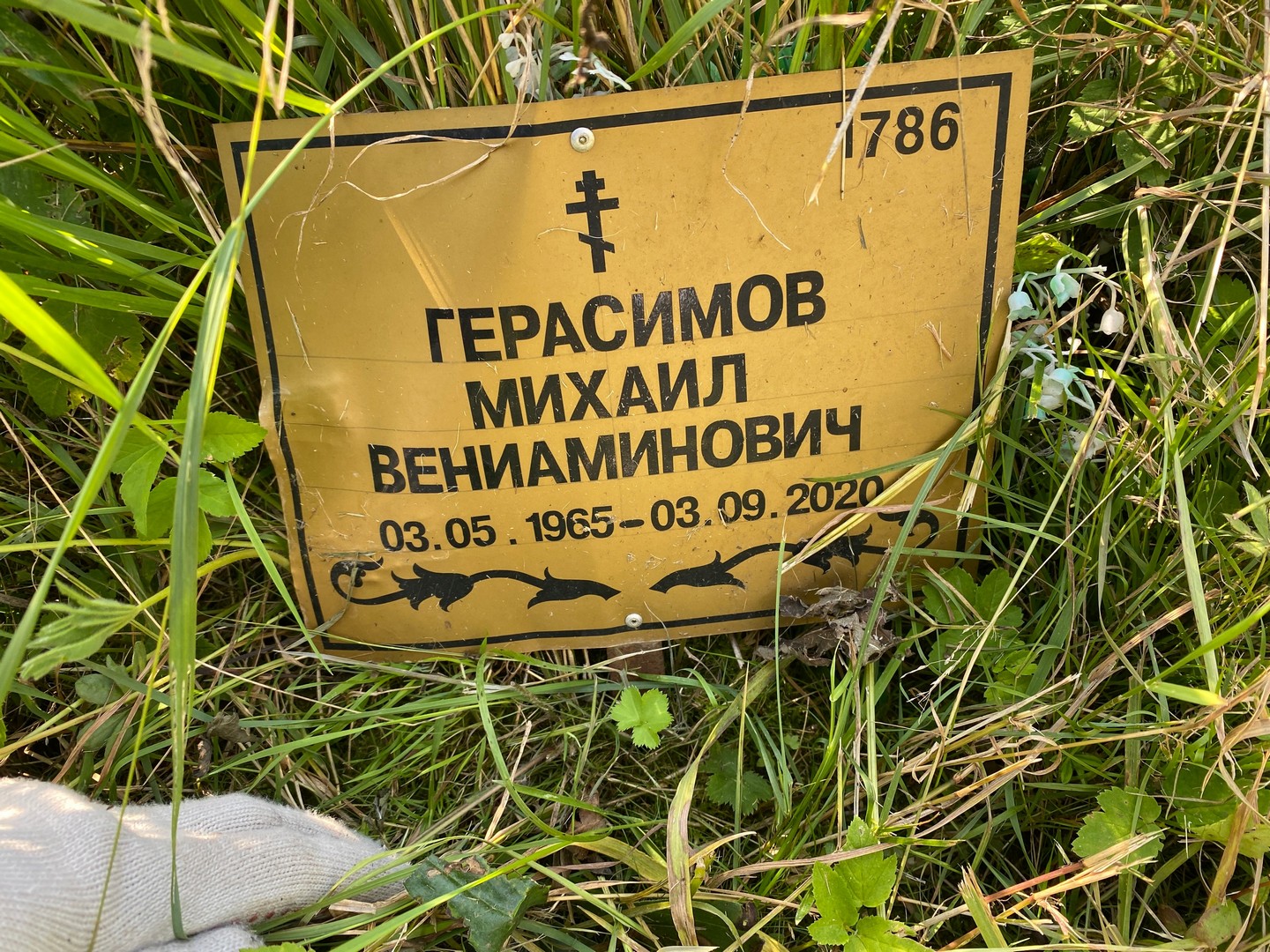 Герасимов