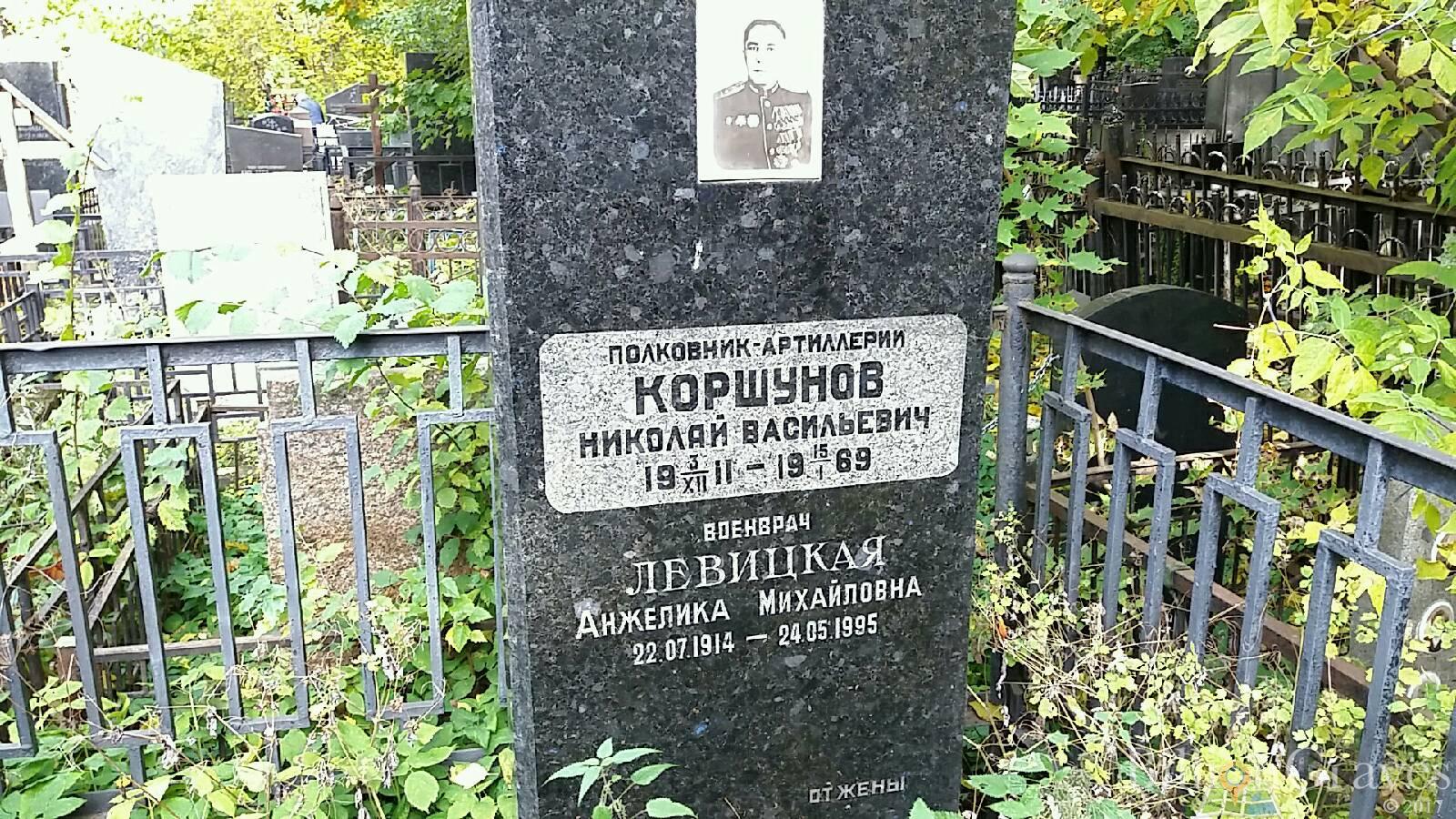 Левицкая Анжелика Михайловна