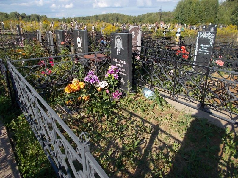 Емельянов Андрей Евгеньевич