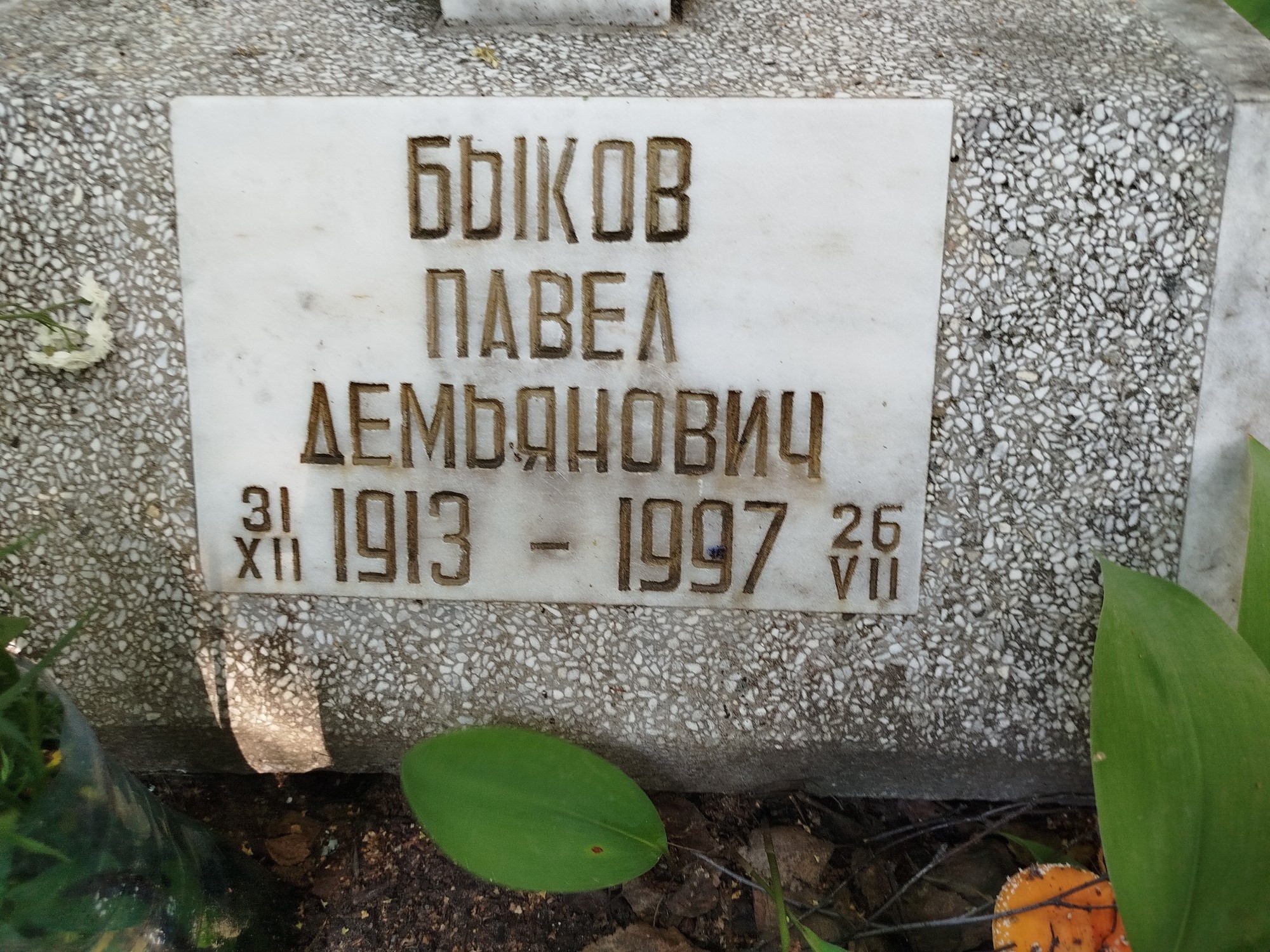 Быков Павел Демьянович