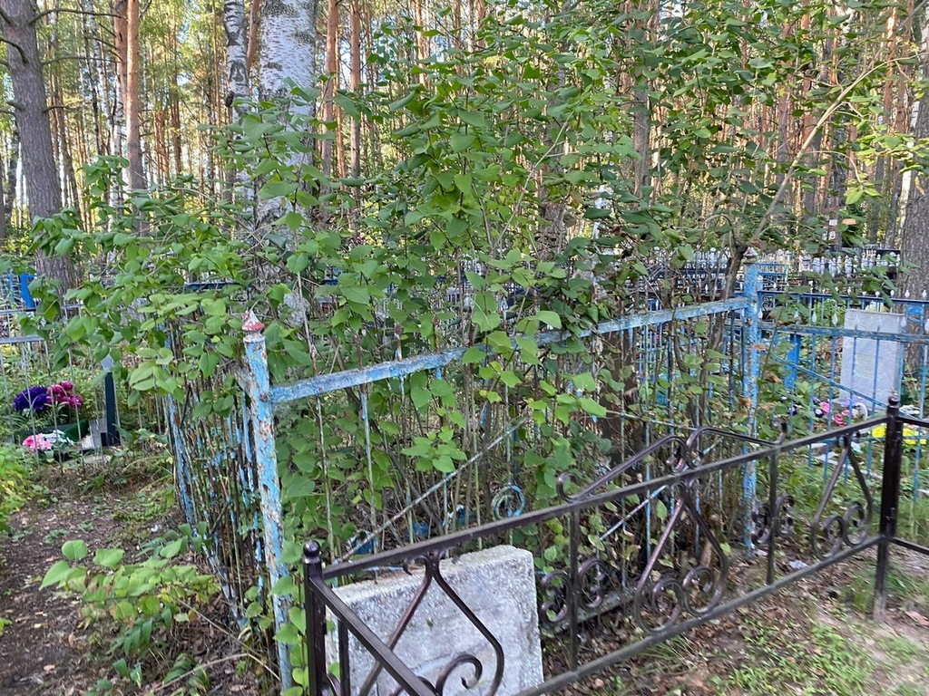 Рябов Иван Иванович