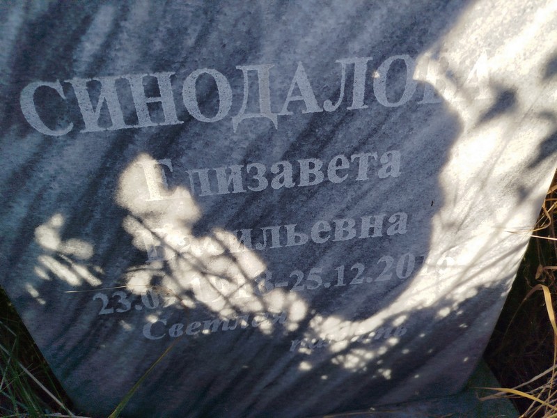Синодалова