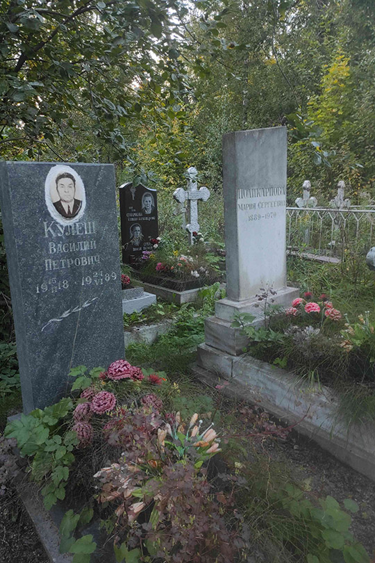 Поликарпова Мария Сергеевна