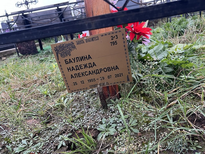 Баулина