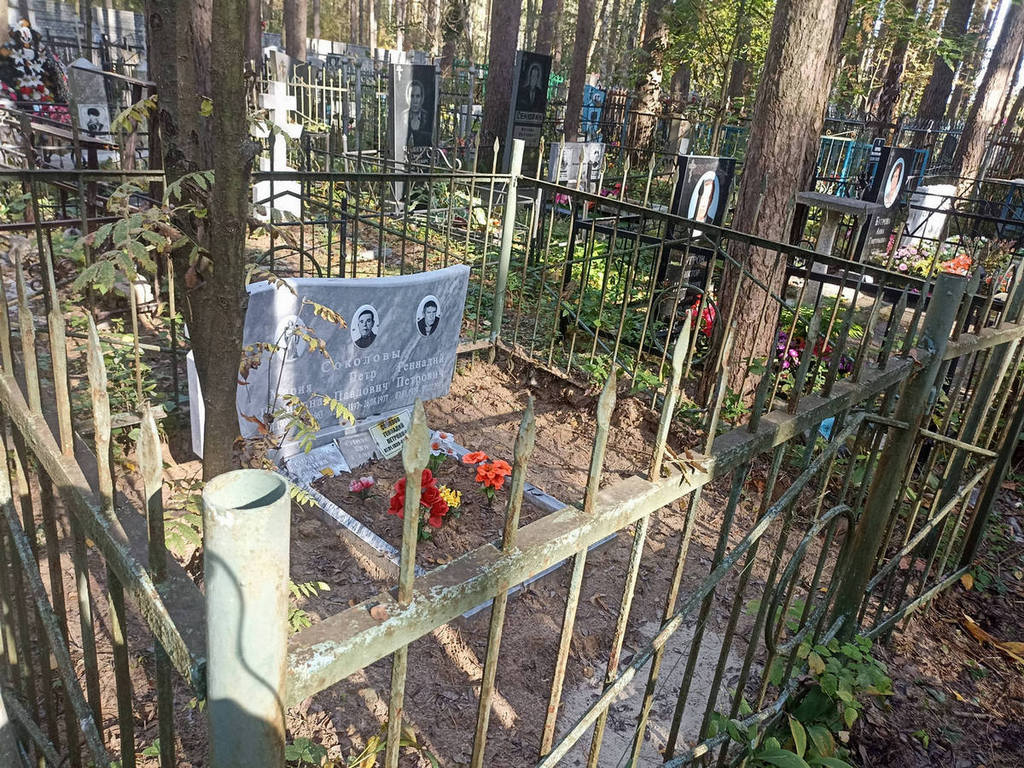 Соколов Геннадий Петрович