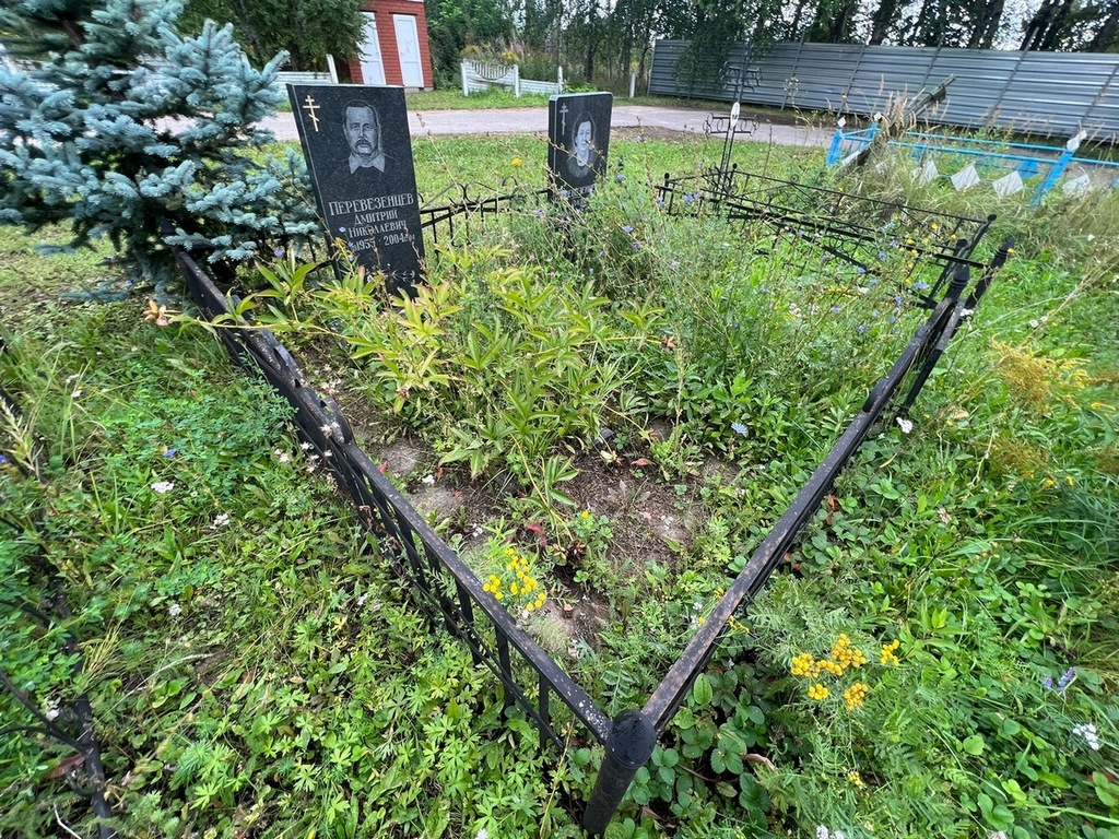 Перевезенцев Дмитрий Николаевич