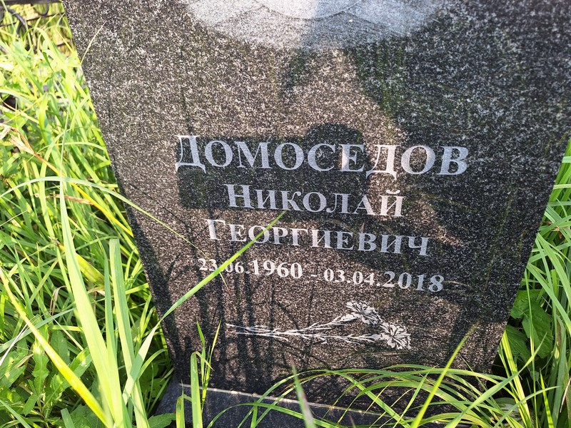 Домоседов