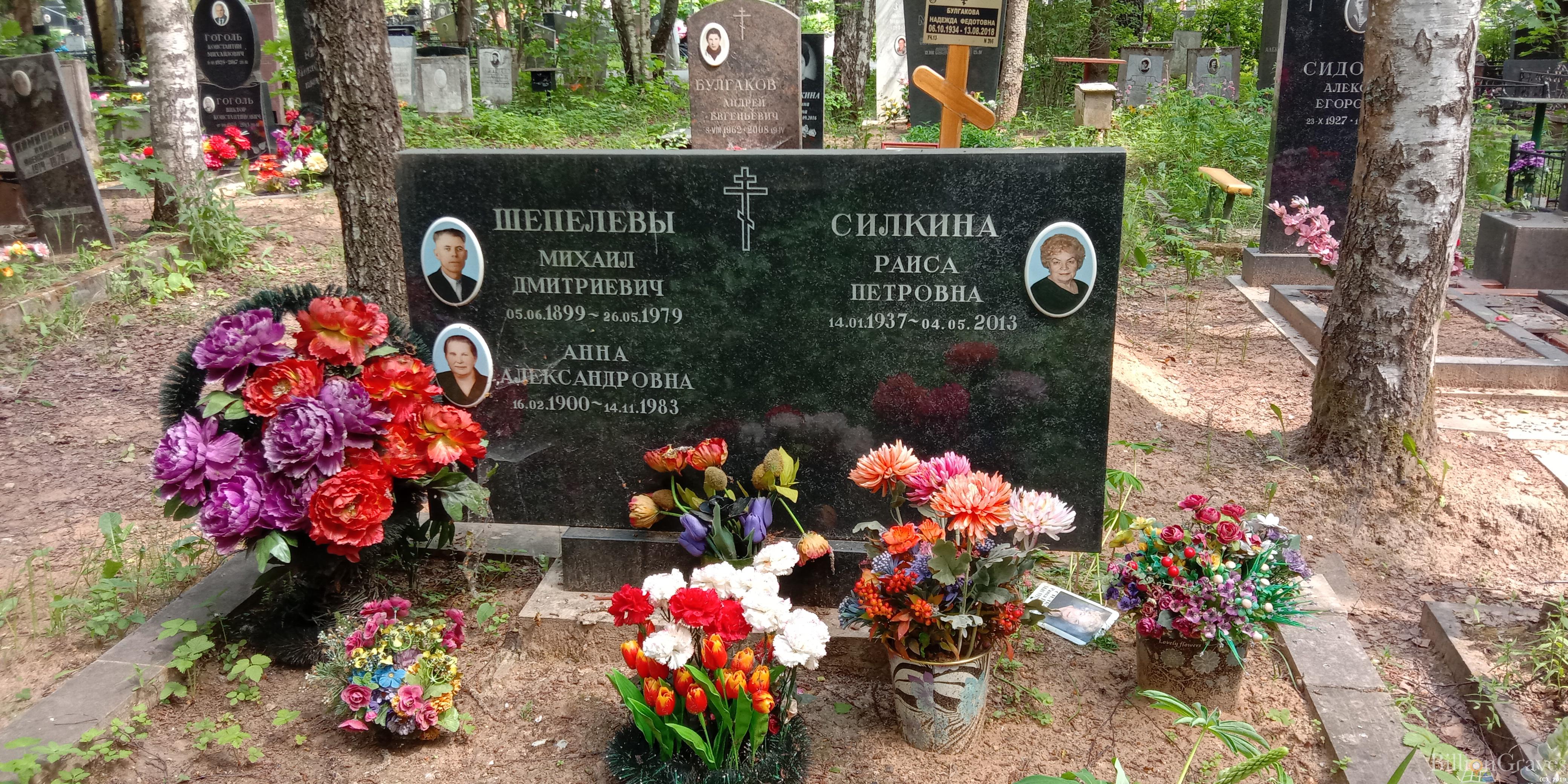 Силкина Раиса Петровна
