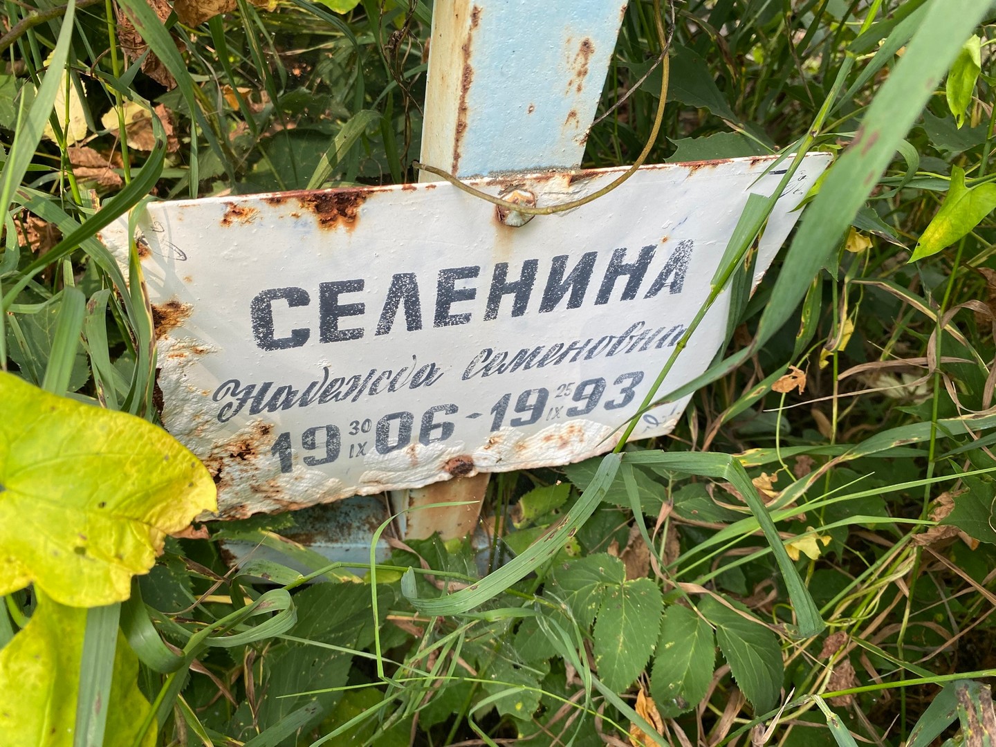 Селенина