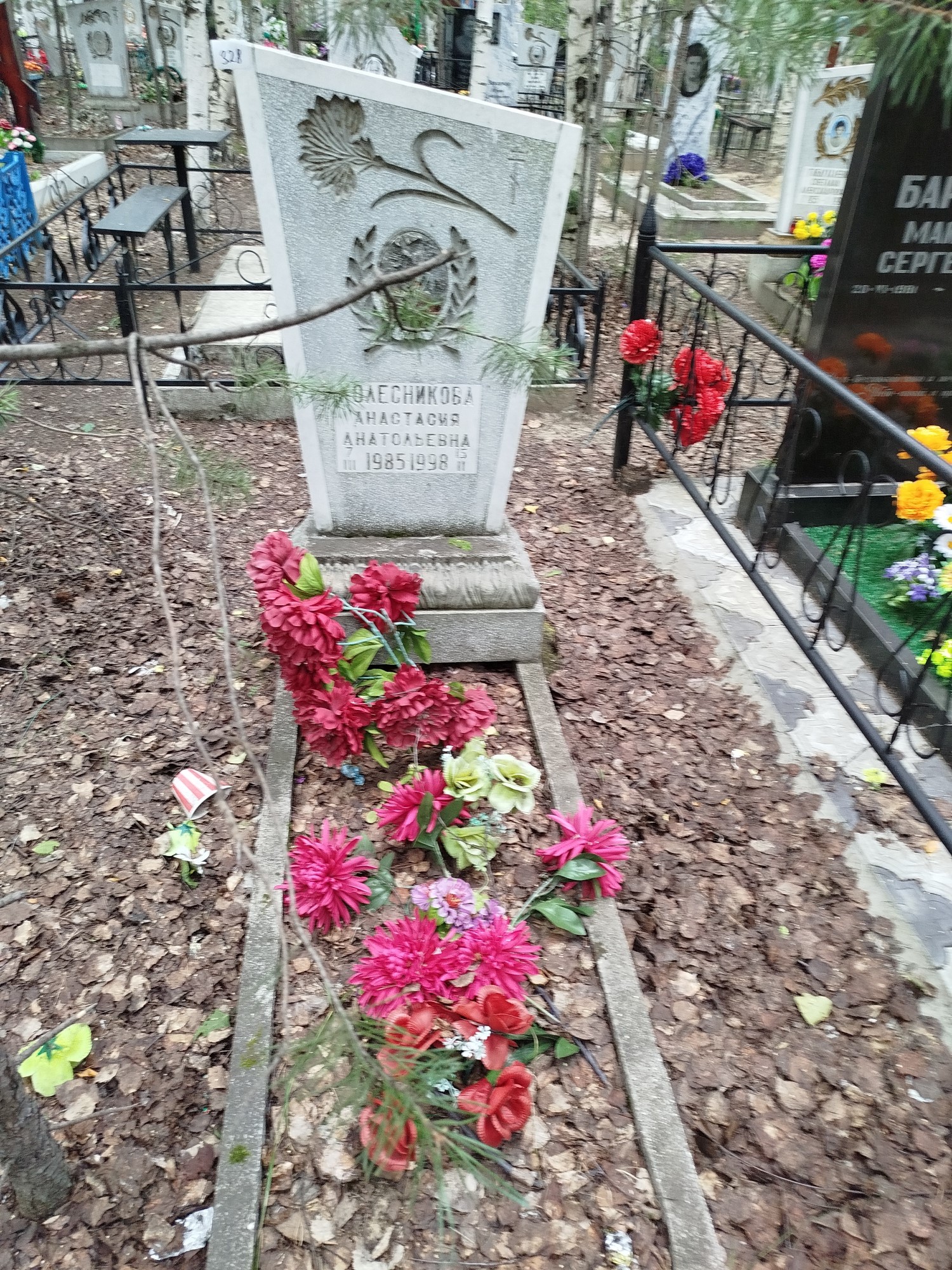 Колесникова Анастасия Анатольевна