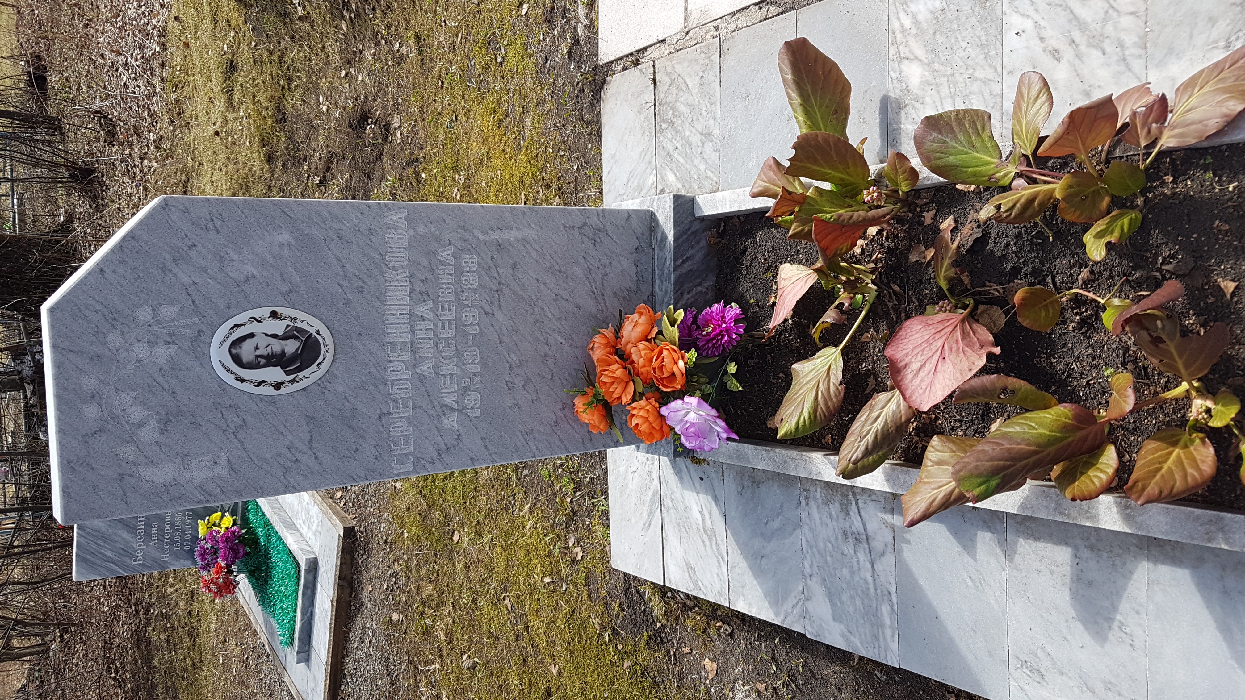 Серебрннникова Анна Алексеевна
