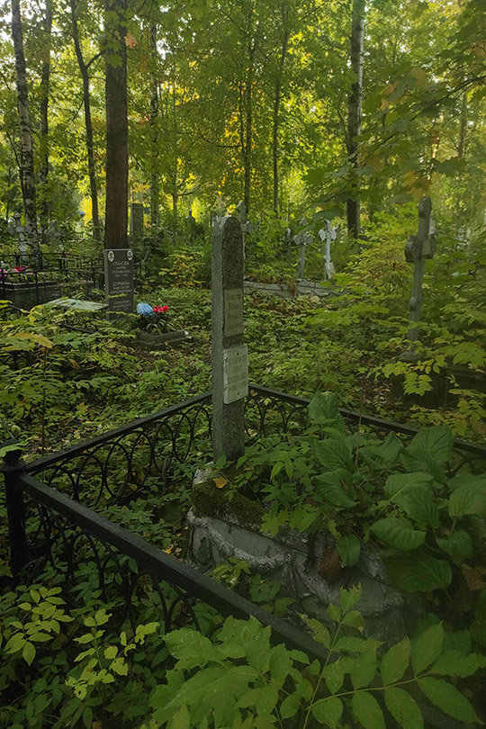Калинина Нина Евгеньевна