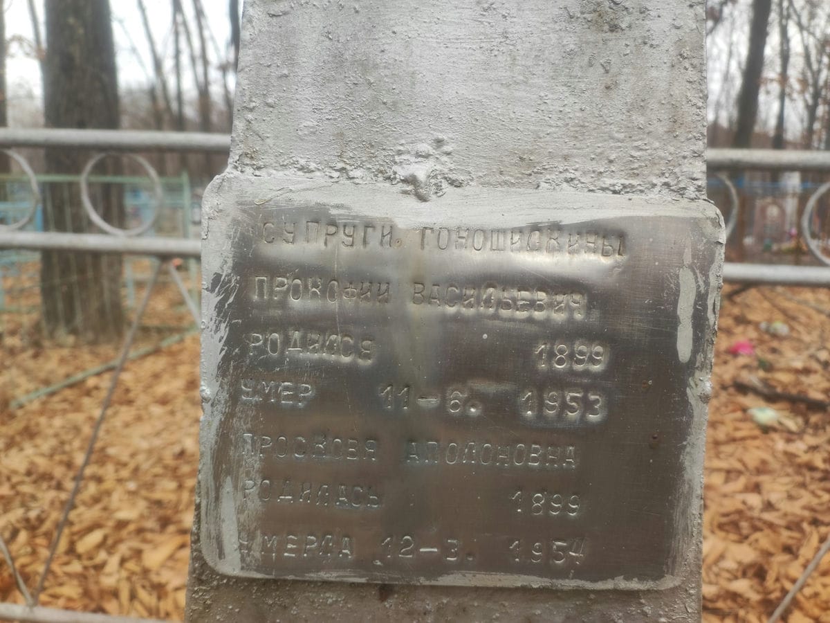 Гоношилкина Просковя Аполоновна