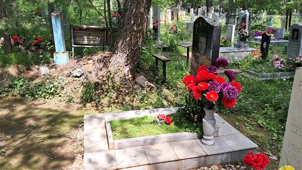 Семенов Михаил Николаевич