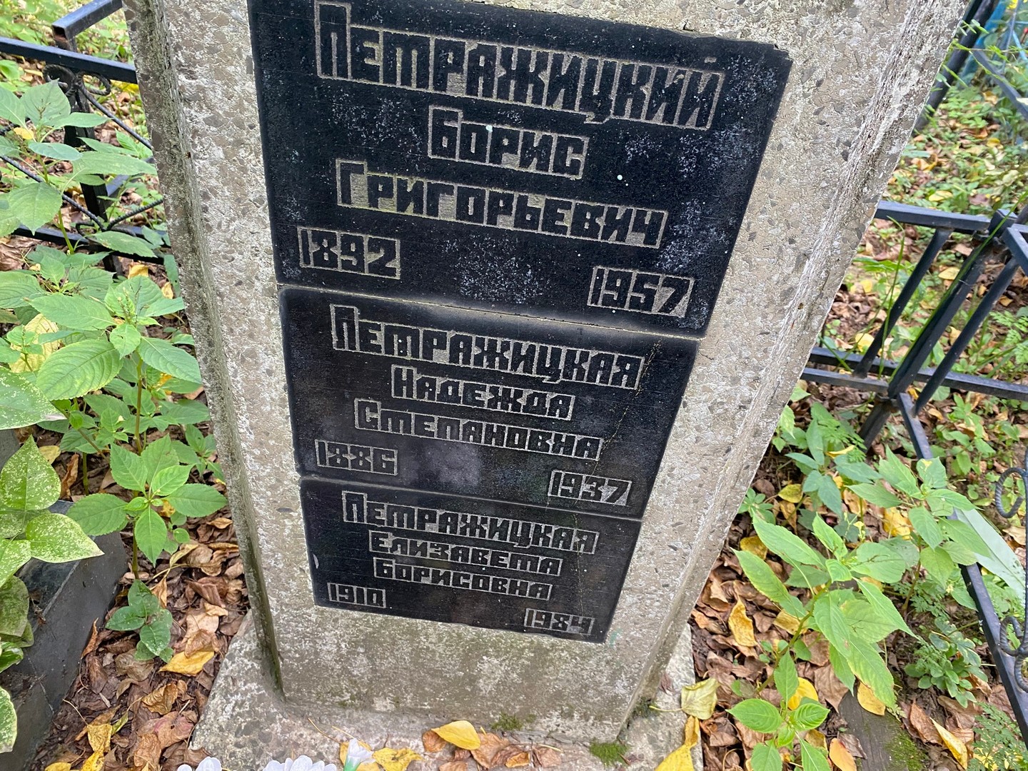 Петражицкий