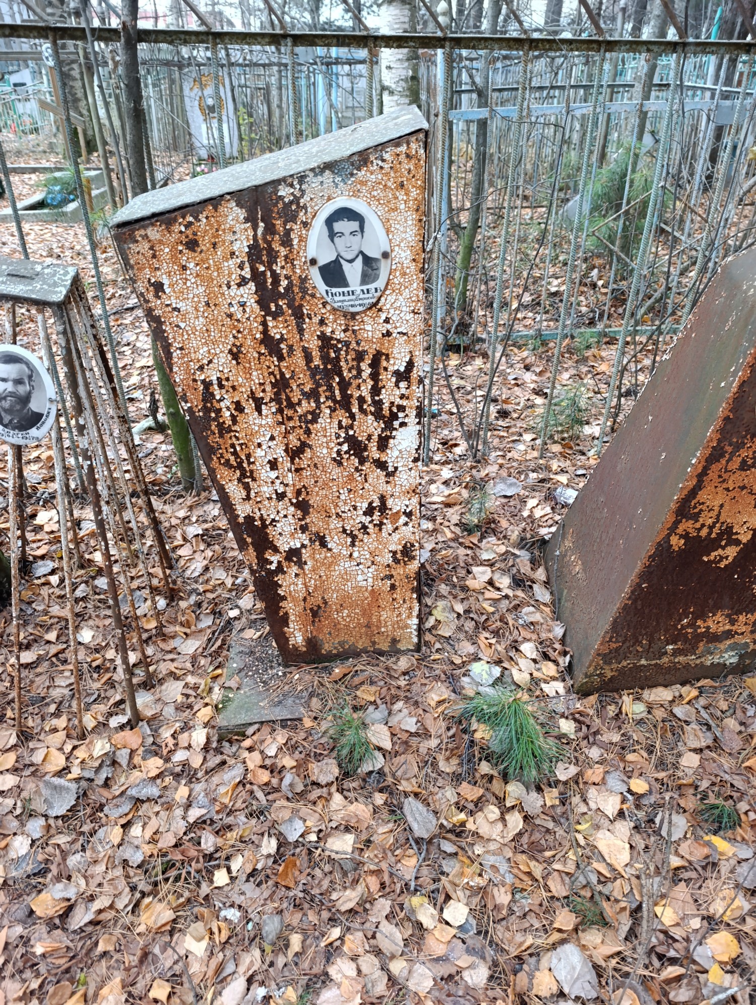 Кошелев Владимир Борисович