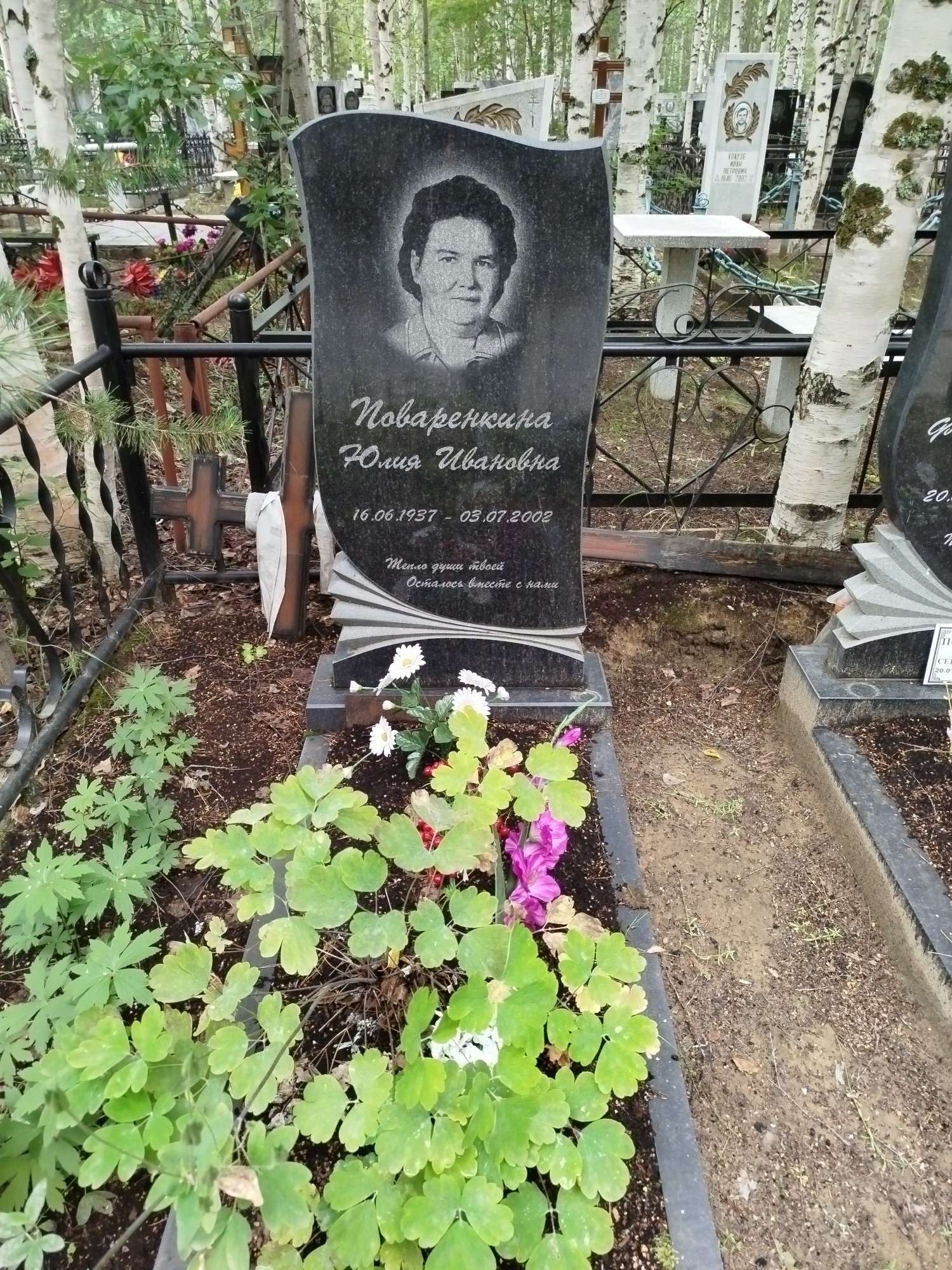 Поваренкина Юлия Ивановна