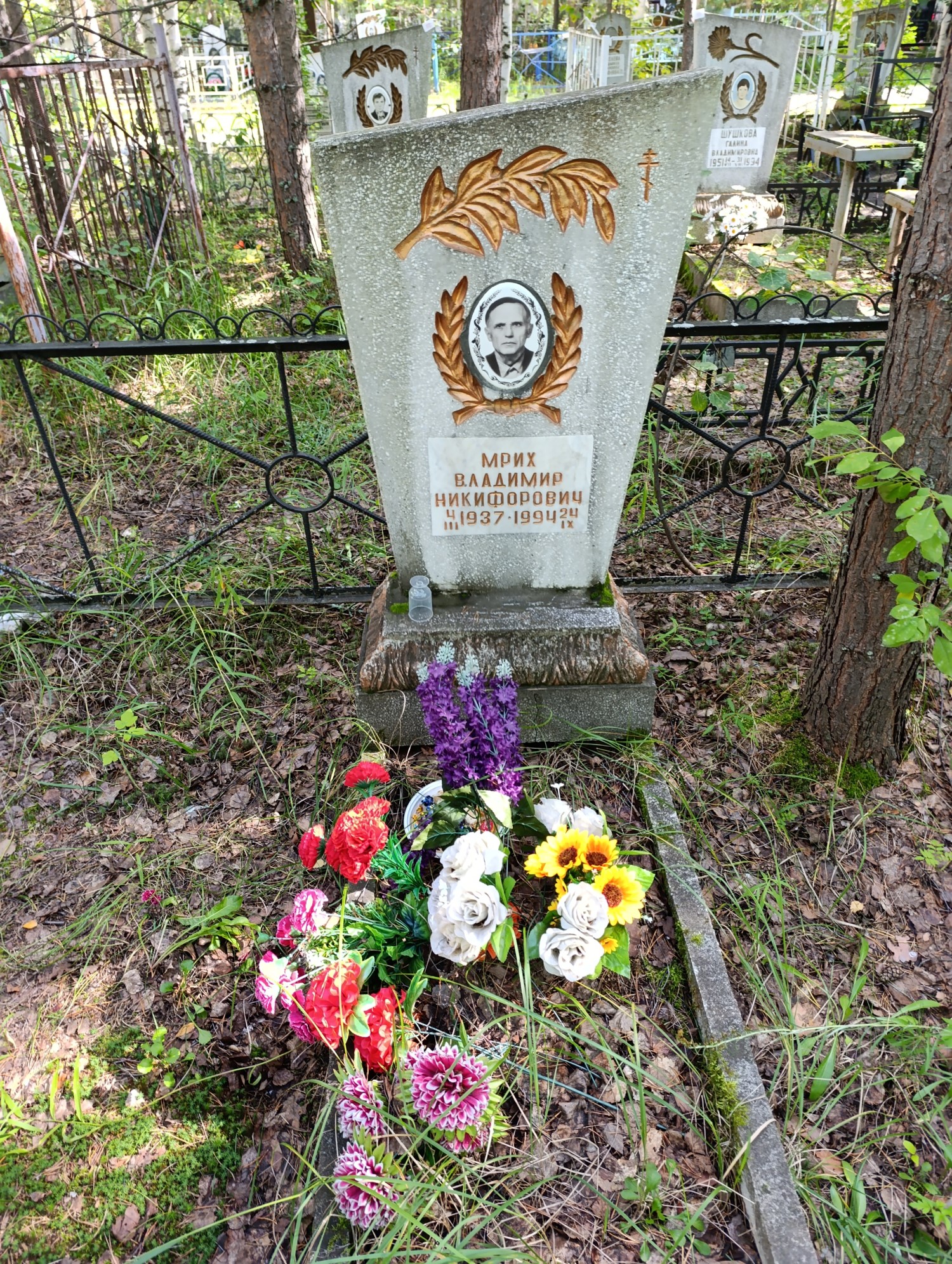 Мрих Владимир Никифорович