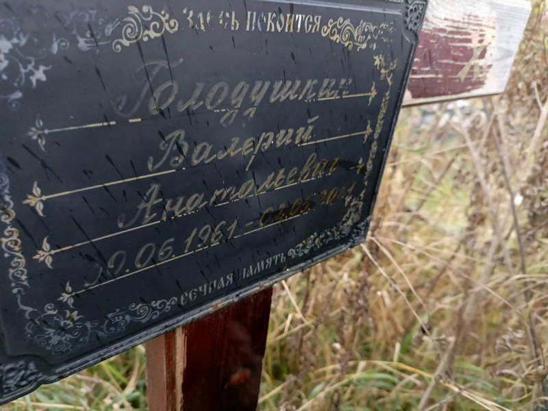 Голодушкин