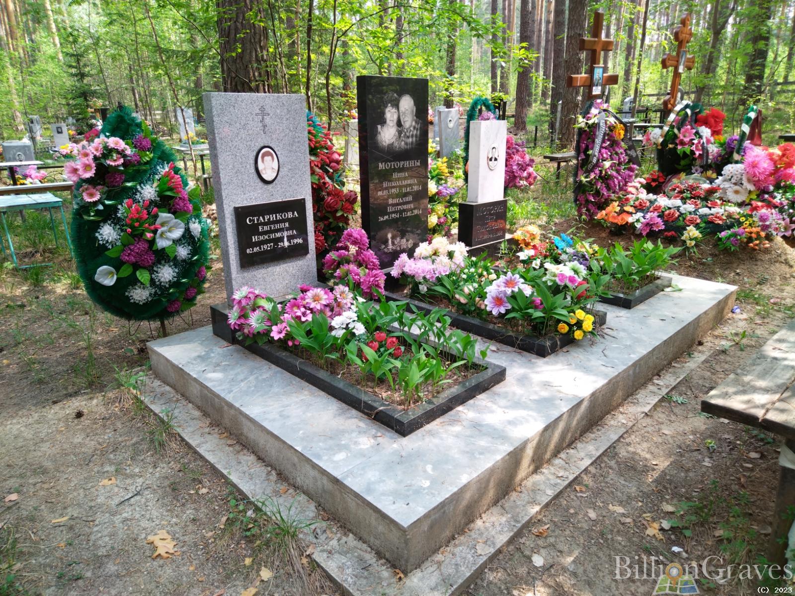 Моторин Виталий Петрович