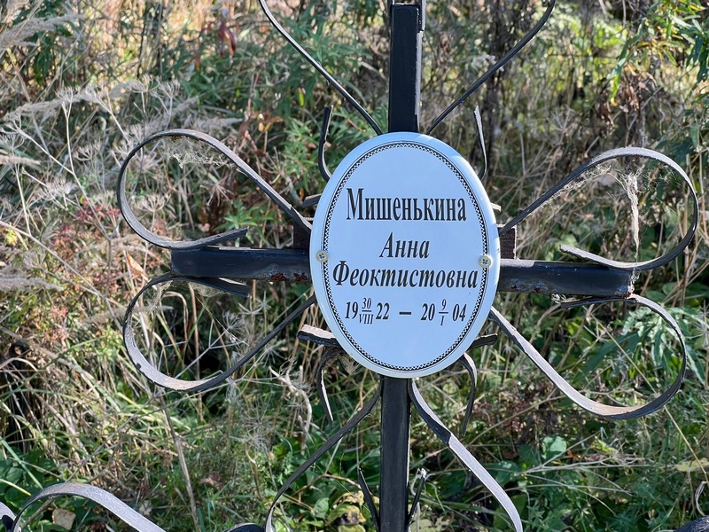 Мишенькина