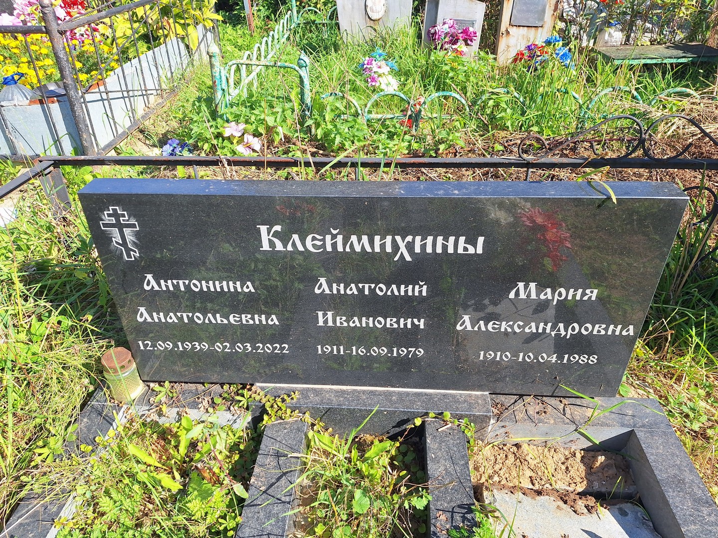 Клеймихина Антонина Анатольевна