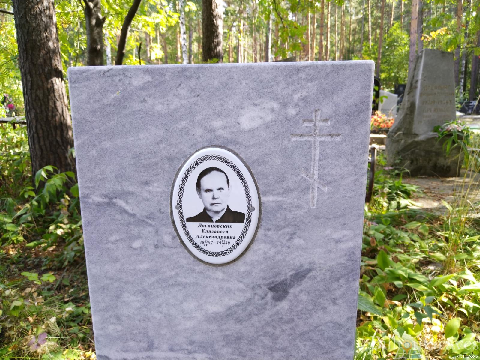 Логиновских Елизавета Александровна