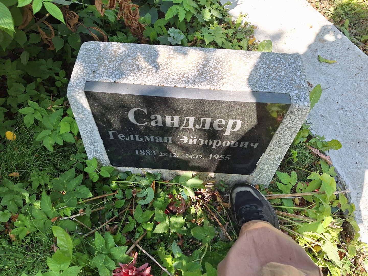 Гельман Сандлер Эйзорович