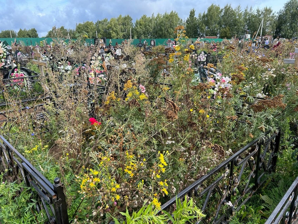 Комиссарова Татьяна Юрьевна