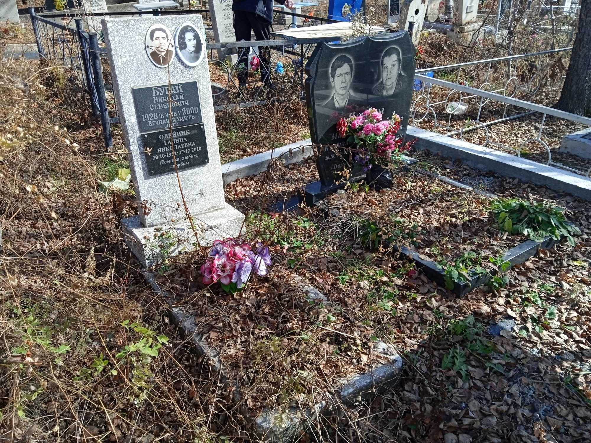 Олейник Галина Николаевна