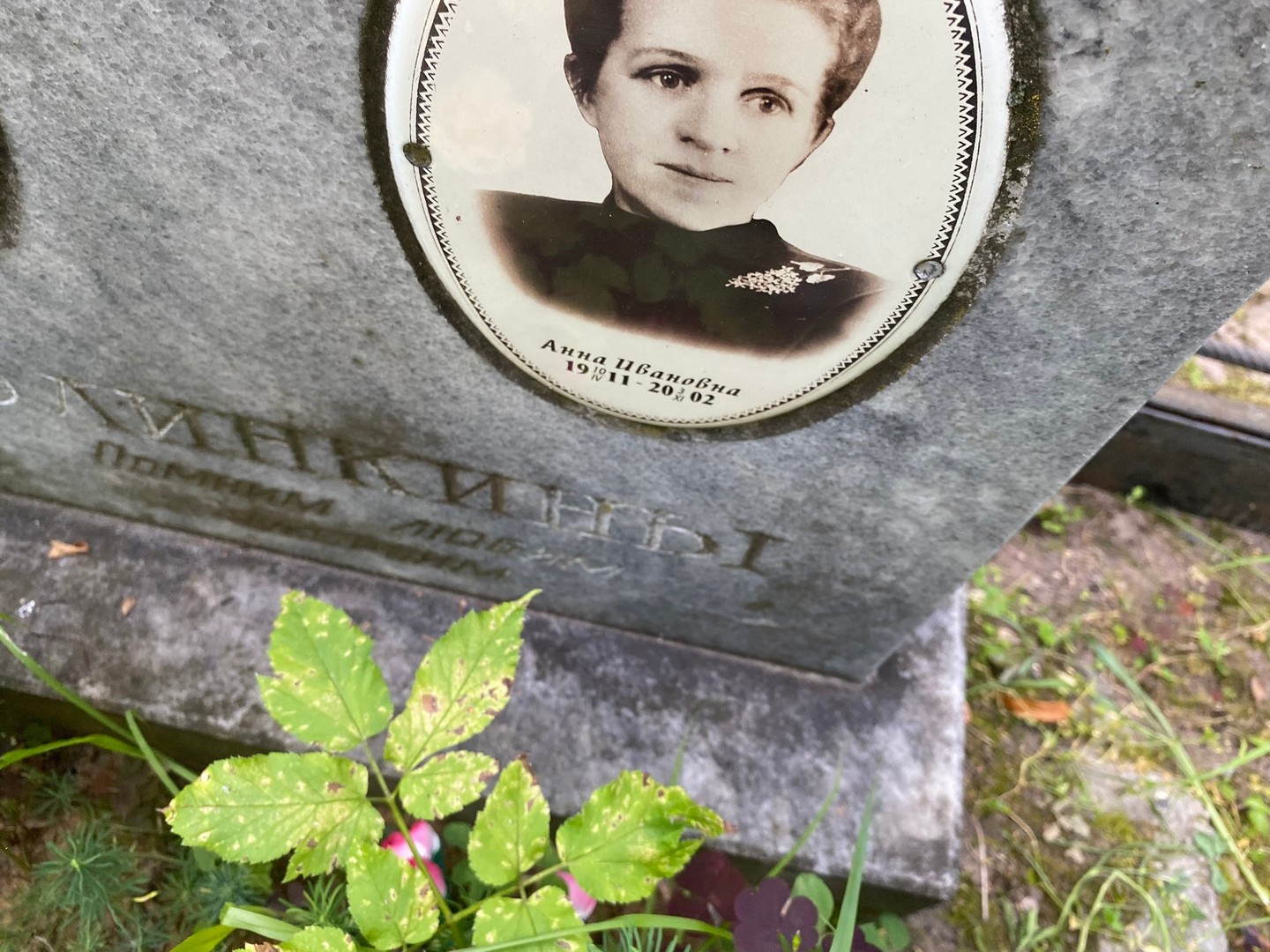 Долинкина