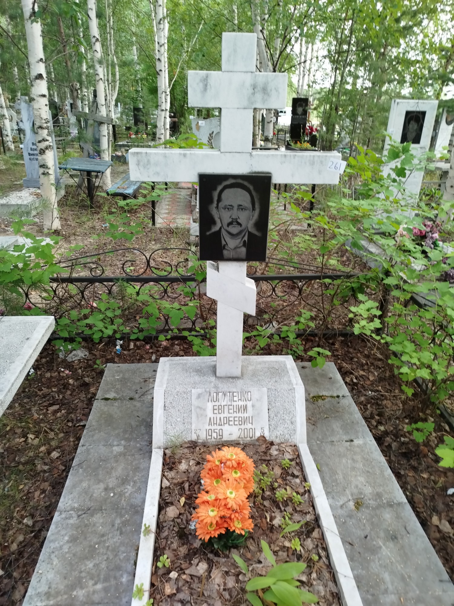Логутенко Евгений Андреевич