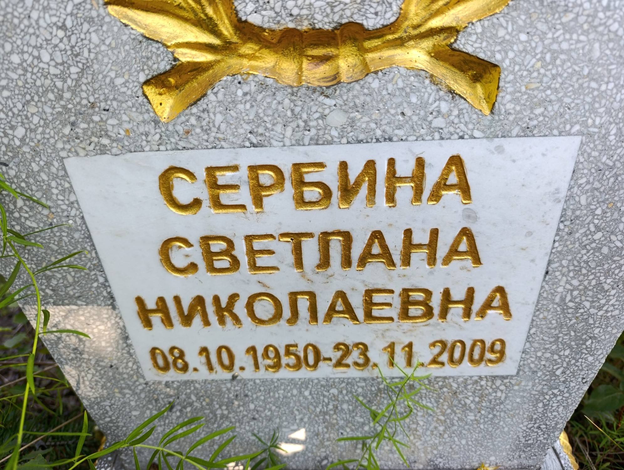 Сербина Светлана Николаевна