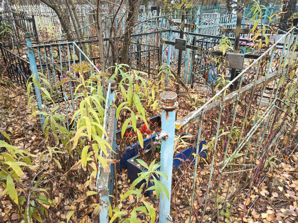 Жаркова Ольга Германовна