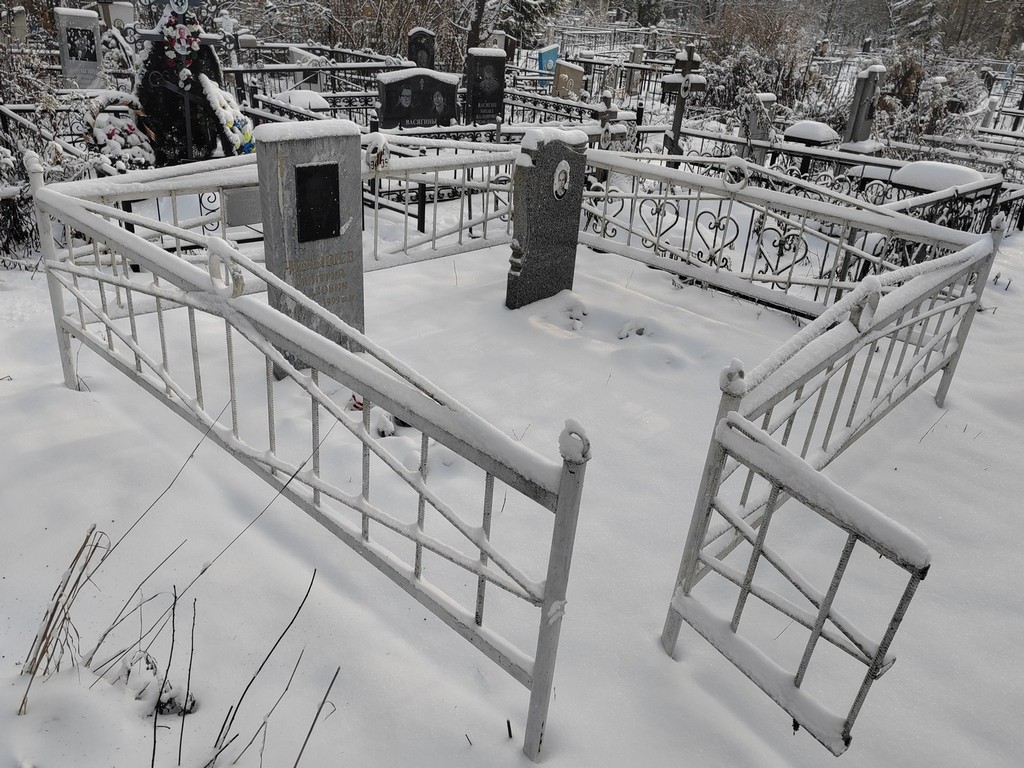 Чибышев Дмитрий Павлович