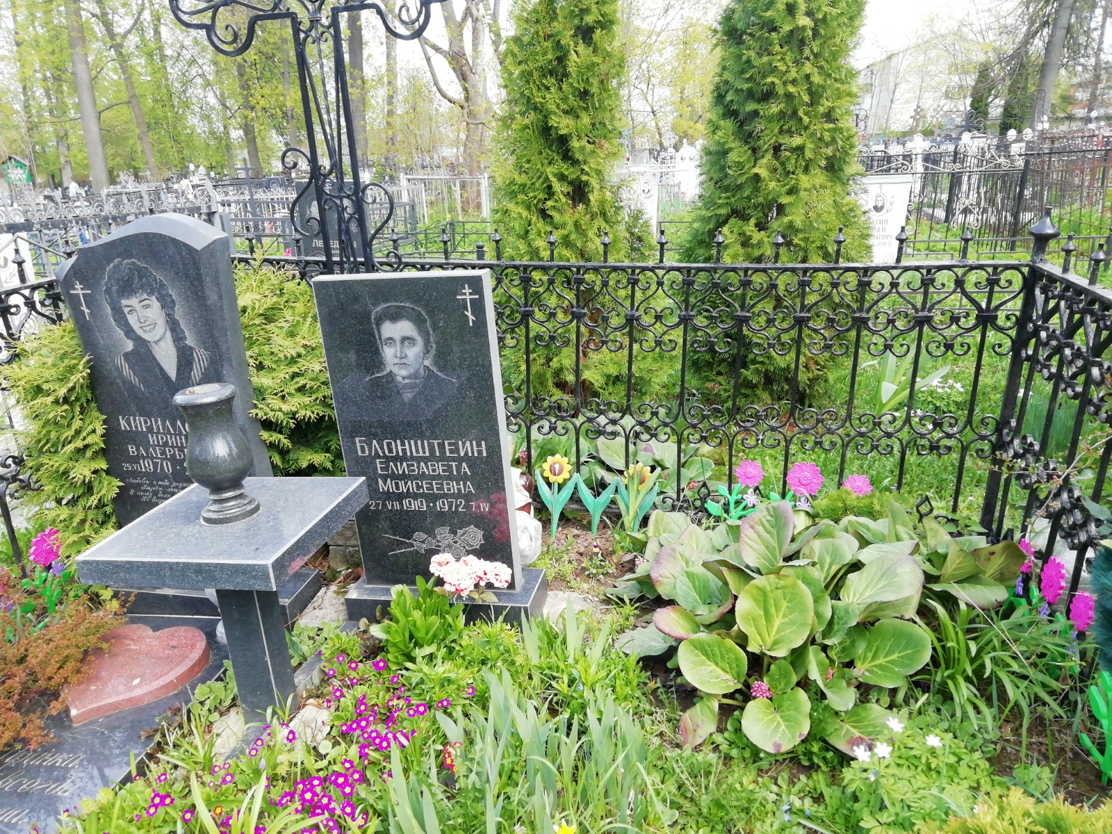 Блонштейн Елизавета Моисеевна