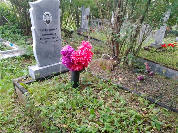 Тетерина Антонина Николаевна