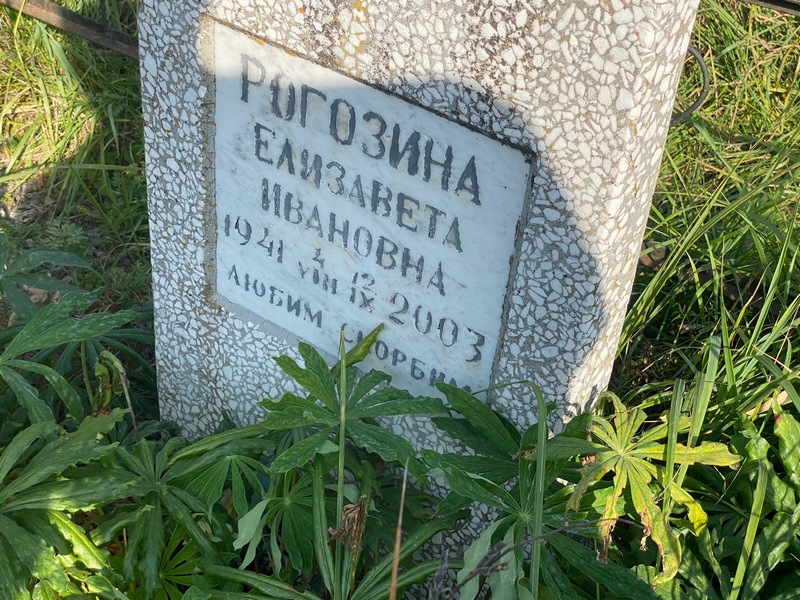 Рогозина