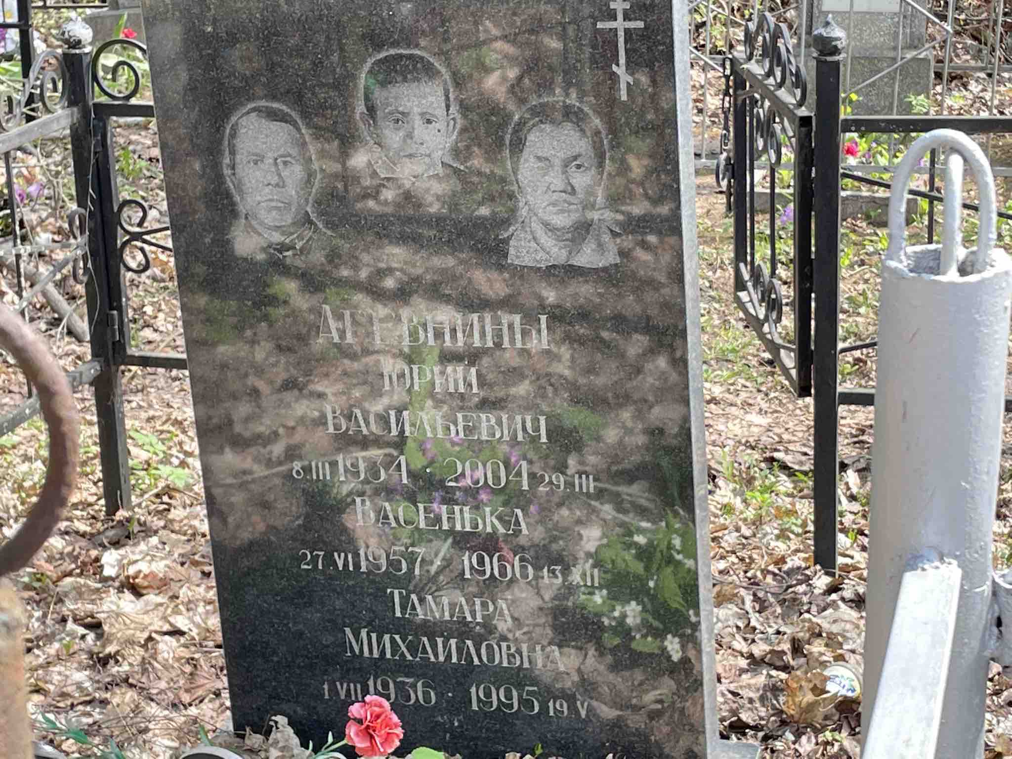 Агевнин Васенька
