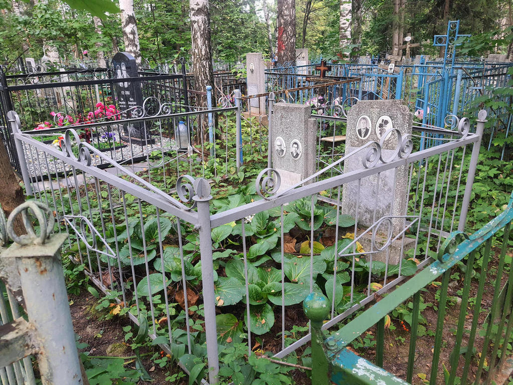 Садкина Дарья Алексеевна