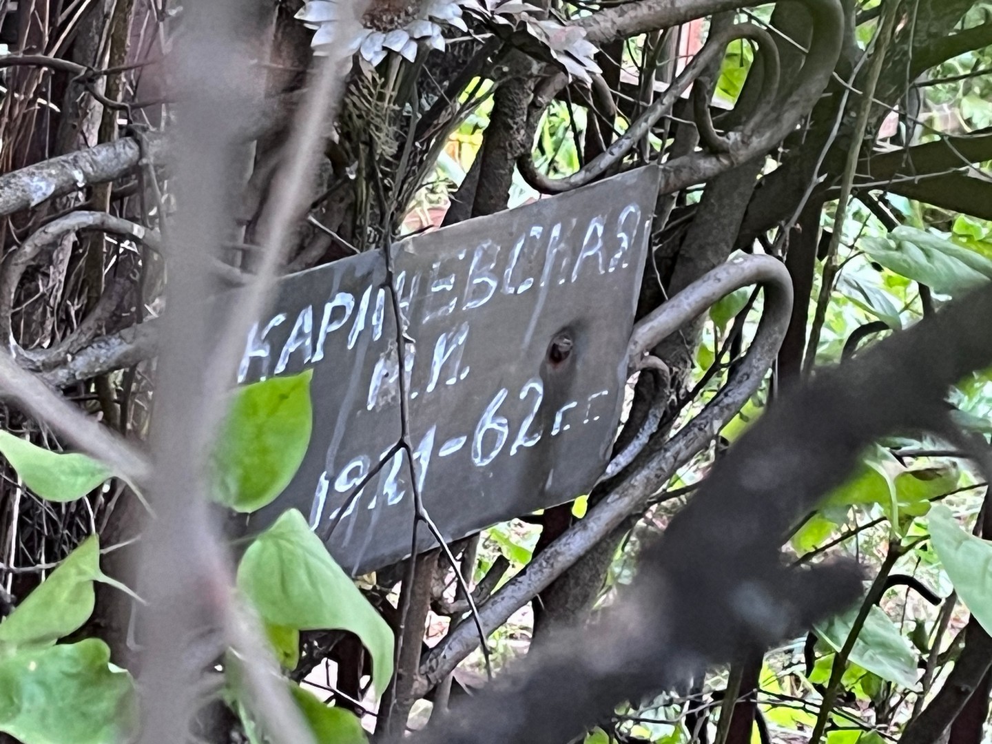 М Карачевская И