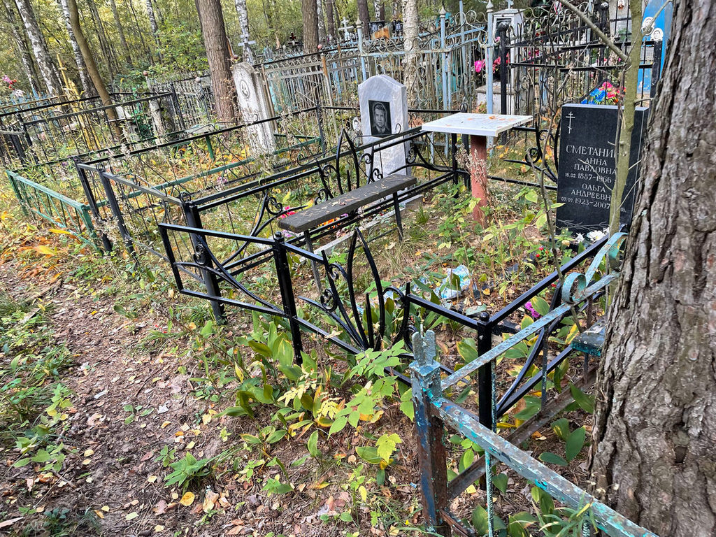 Сметанина Ольга Андреевна
