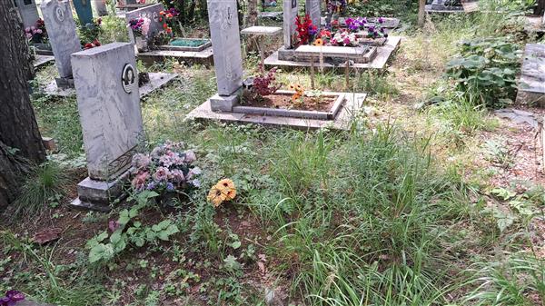 Васютина Валентина Петровна