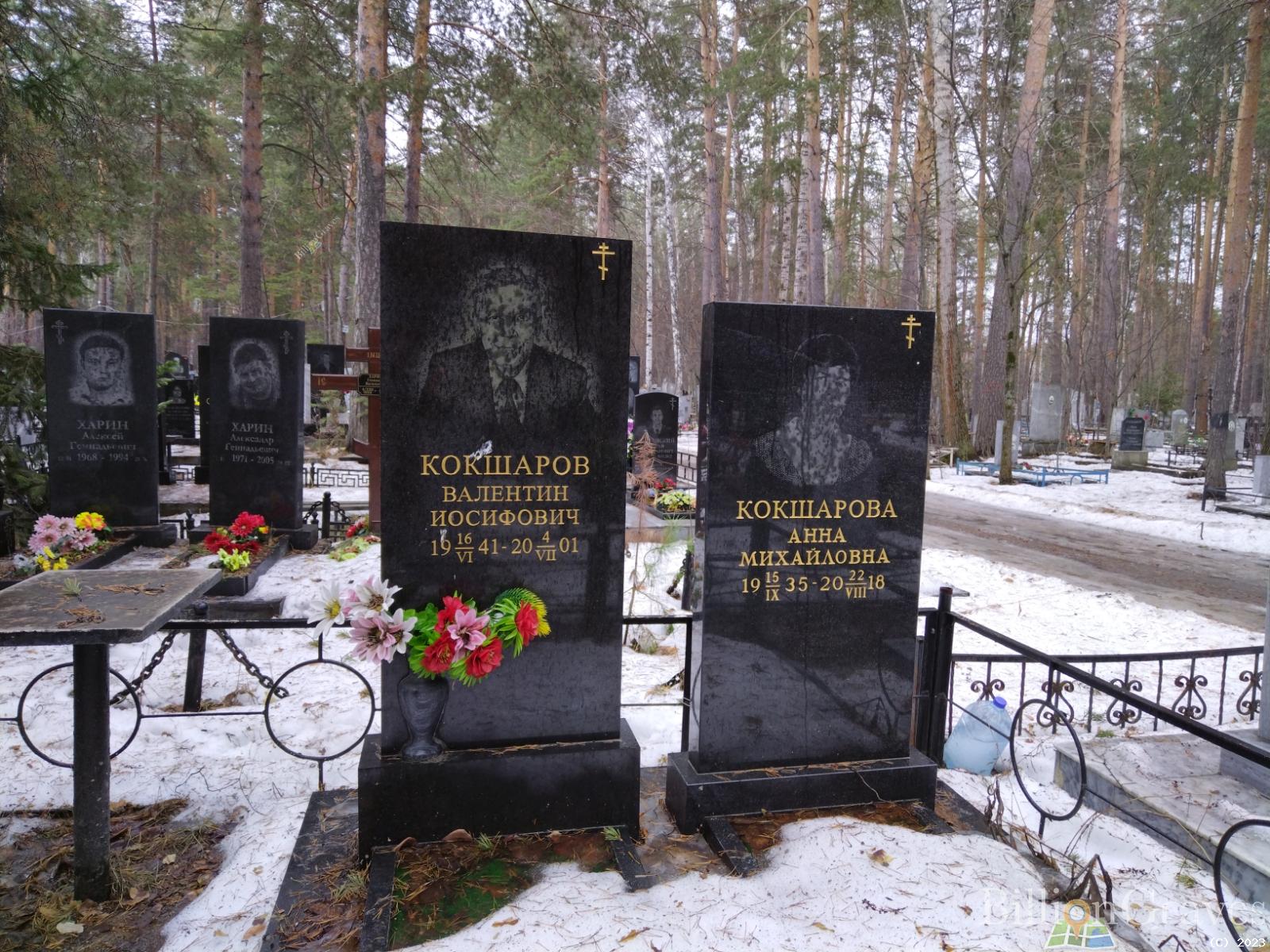 Кокшаров Валентин Иосифович