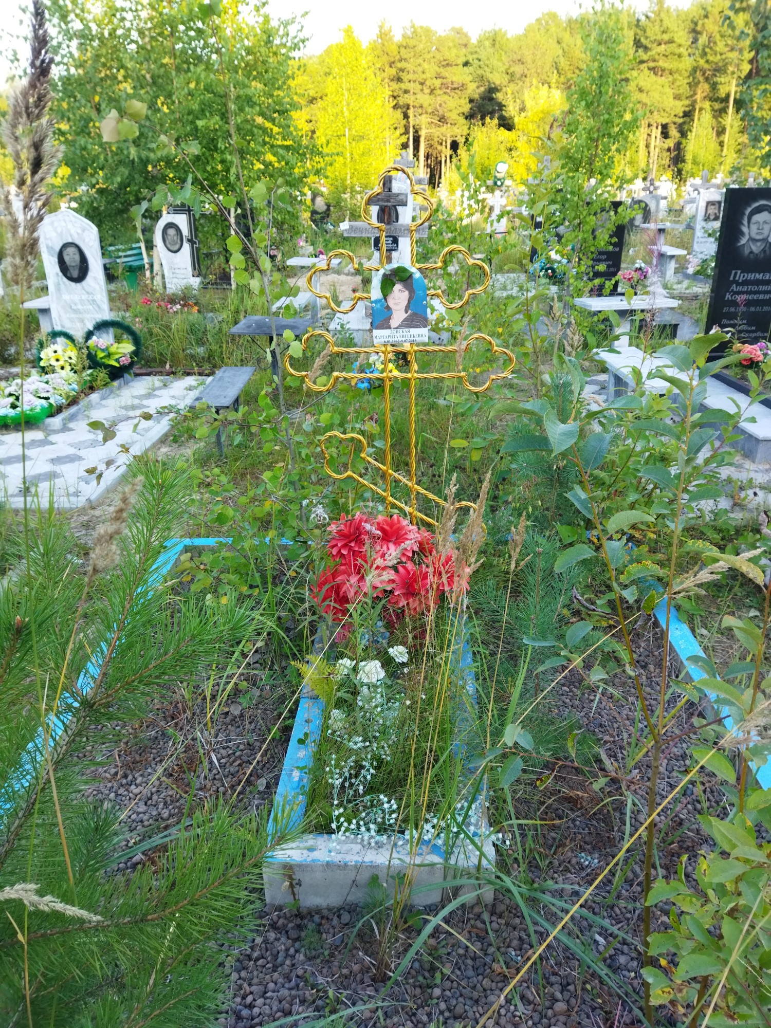 Донская Маргарита Евгеньевна