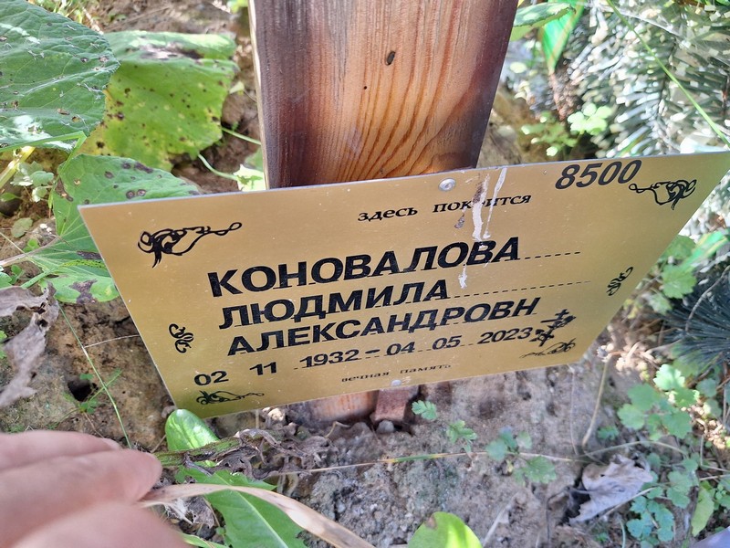 Коновалова