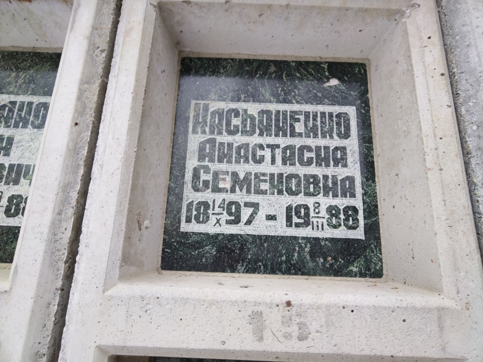Касьяненко Анастасия Семеновна