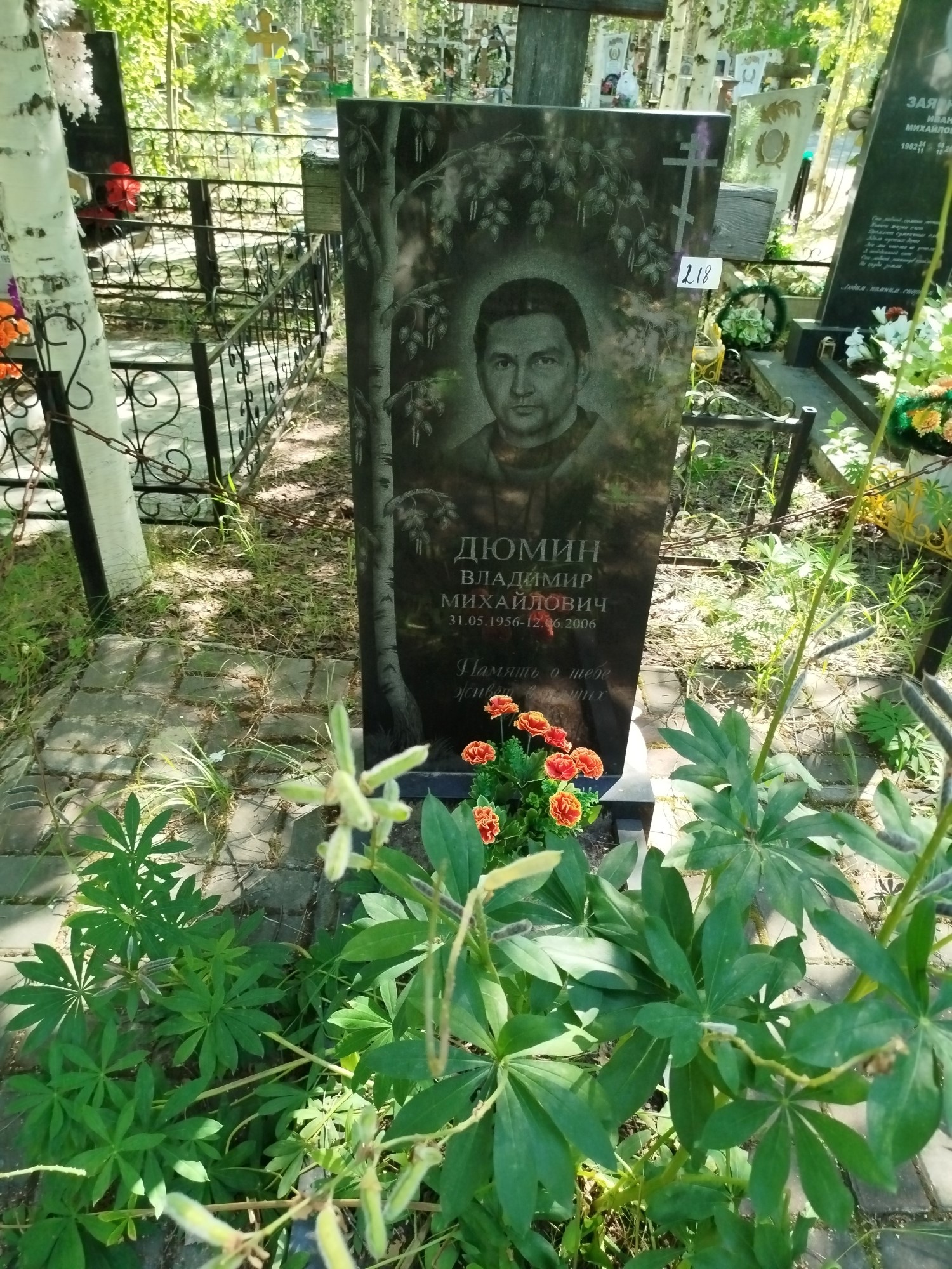 Дюмин Владимир Михайлович