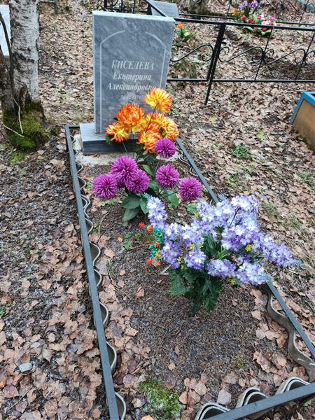 Киселева Екатерина Александровна