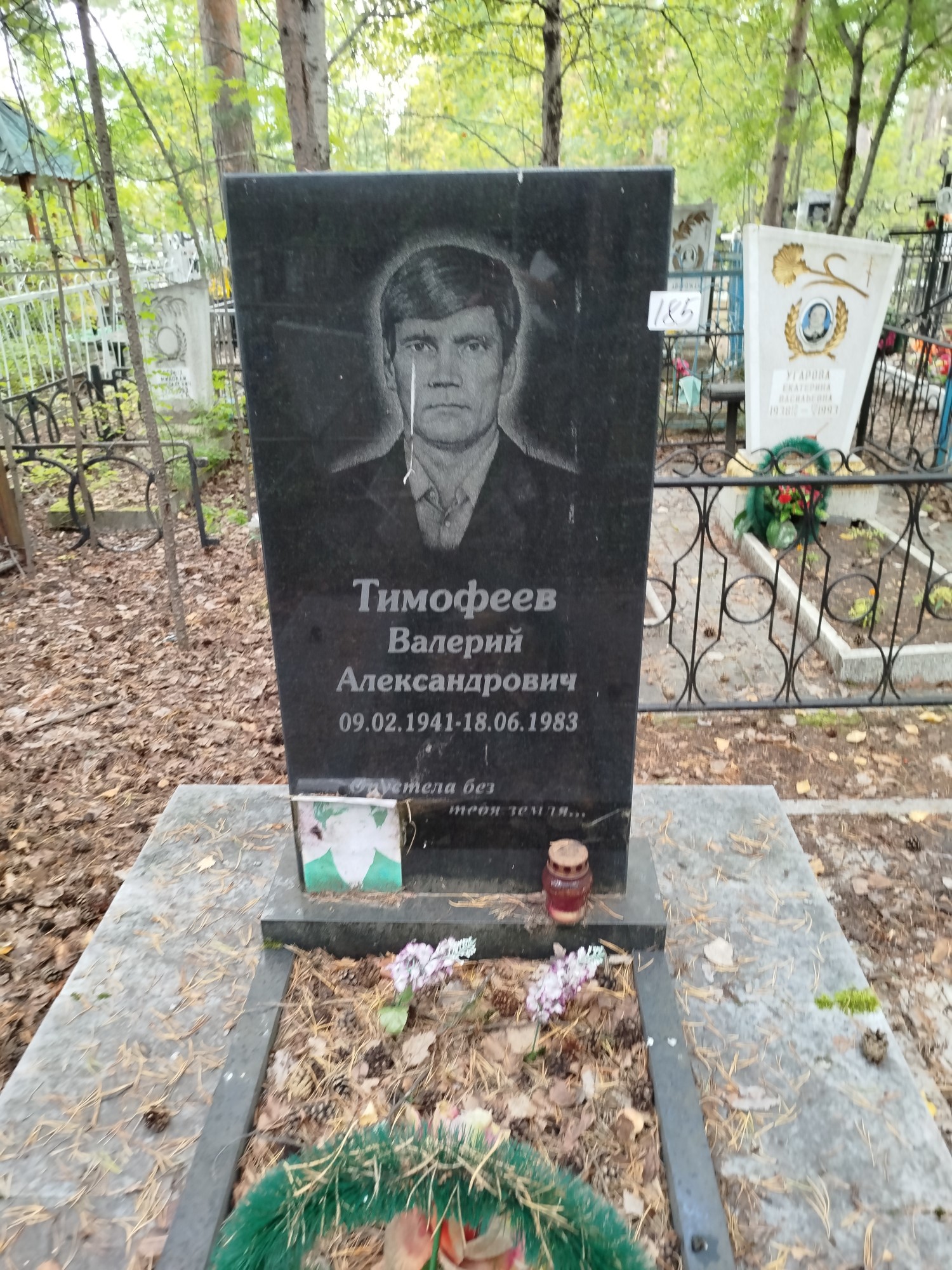 Тимофеев Валерий Александрович